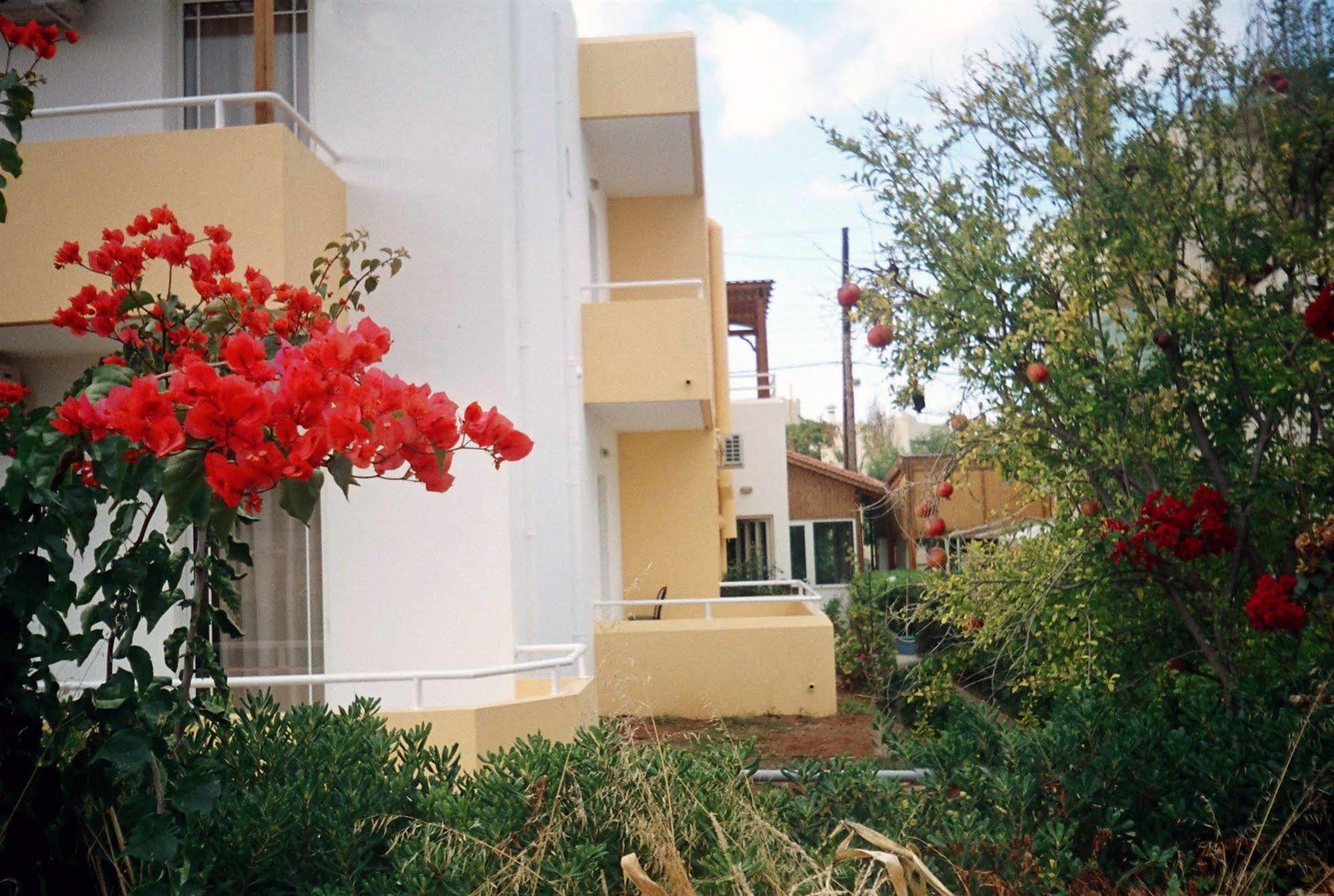 Dimitra Apartments Гуве Экстерьер фото
